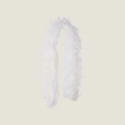 Miu Miu Cashmere Scarf With Feathers
