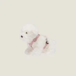 Miu Miu Woven Tape Dog Harness